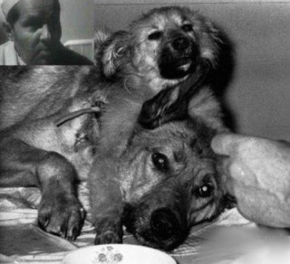 Владимир Демихов и его двухголовая собака